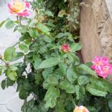 Гостиница Замок, фото гостя