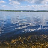 Самарская область, фото отдыхающего в августе