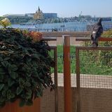 Нижний Новгород, фото отдыхающего в августе