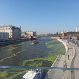 Москва, фото отдыхающего в августе