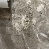 Отель Сан-Ремо, фото гостя