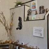 Отель Три кота, фото гостя
