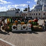 Гостиница Светлица, фото гостя