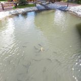 Архыз, фото отдыхающего в сентябре