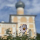 Новгородская область, фото отдыхающего в сентябре