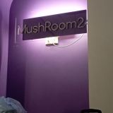 Гостевой дом Mushroom24, фото гостя