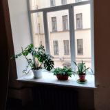 Отель Капитал на Московском проспекте, фото гостя