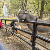 Отель Серебряный век, фото гостя