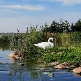 Гостевой двор Хутор Скреблово, фото гостя