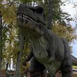 Великие Луки, фото отдыхающего в октябре