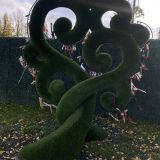 Великие Луки, фото отдыхающего в октябре