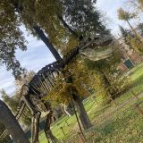 Великие Луки, фото отдыхающего в октябре