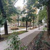 Адлер, фото отдыхающего в октябре