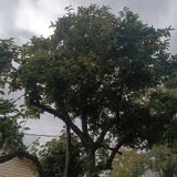 Адлер, фото отдыхающего в октябре