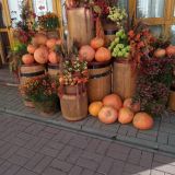 Отель Алеша Попович Двор, фото гостя