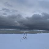 Комарово, фото отдыхающего в декабре