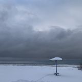 Комарово, фото отдыхающего в декабре