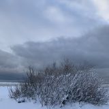 Комарово, фото отдыхающего в декабре