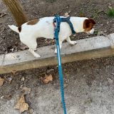 Кумертау, фото отдыхающего в октябре