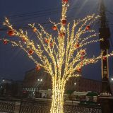 Челябинск, фото отдыхающего в январе