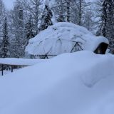 Загородный отель Тайгара, фото гостя