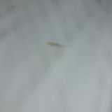 Отель Лемар, фото гостя