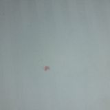 Отель Лемар, фото гостя