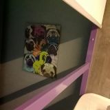 Хостел Timelapse II, фото гостя