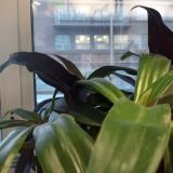 Капсульный отель Венеция в сердце моём, фото гостя