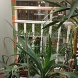 Капсульный отель Венеция в сердце моём, фото гостя