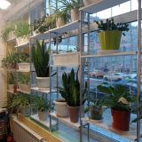 Капсульный отель Венеция в сердце моём, фото гостя