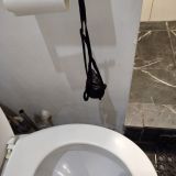 Отель ShelterS Тульская, фото гостя