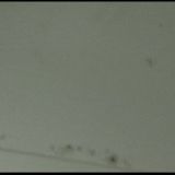 Мини-отель ОливиЯ, фото гостя