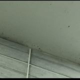 Мини-отель ОливиЯ, фото гостя