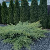 Гостевой дом Школьная 44, фото гостя