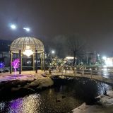 Курортно-развлекательный комплекс Внуково Вилладж, фото гостя