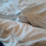 Гостевой дом Графское, фото гостя