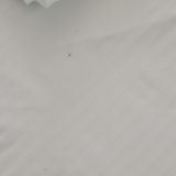 Гостиница Морская звезда, фото гостя