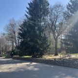 Загородный отель Just Wood, фото гостя