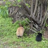 Парк-Отель Каньон, фото гостя