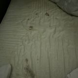 Хостел Heritage, фото гостя