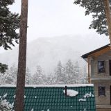 Отель Сосновый бор, фото гостя