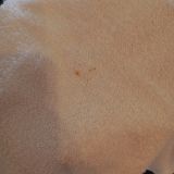 Гостиница Greenfeel, фото гостя