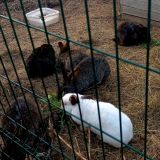 Ресторанно-гостиничный комплекс Старая Слобода, фото гостя