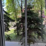 Хостел Stalker Sokolniki, фото гостя
