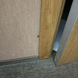 Гостиница Альва Донна, фото гостя