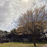 Кисловодск, фото отдыхающего в апреле