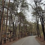 Кисловодск, фото отдыхающего в апреле