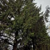 Кисловодск, фото отдыхающего в апреле