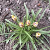 Деревня Никола Рожок, фото отдыхающего в апреле